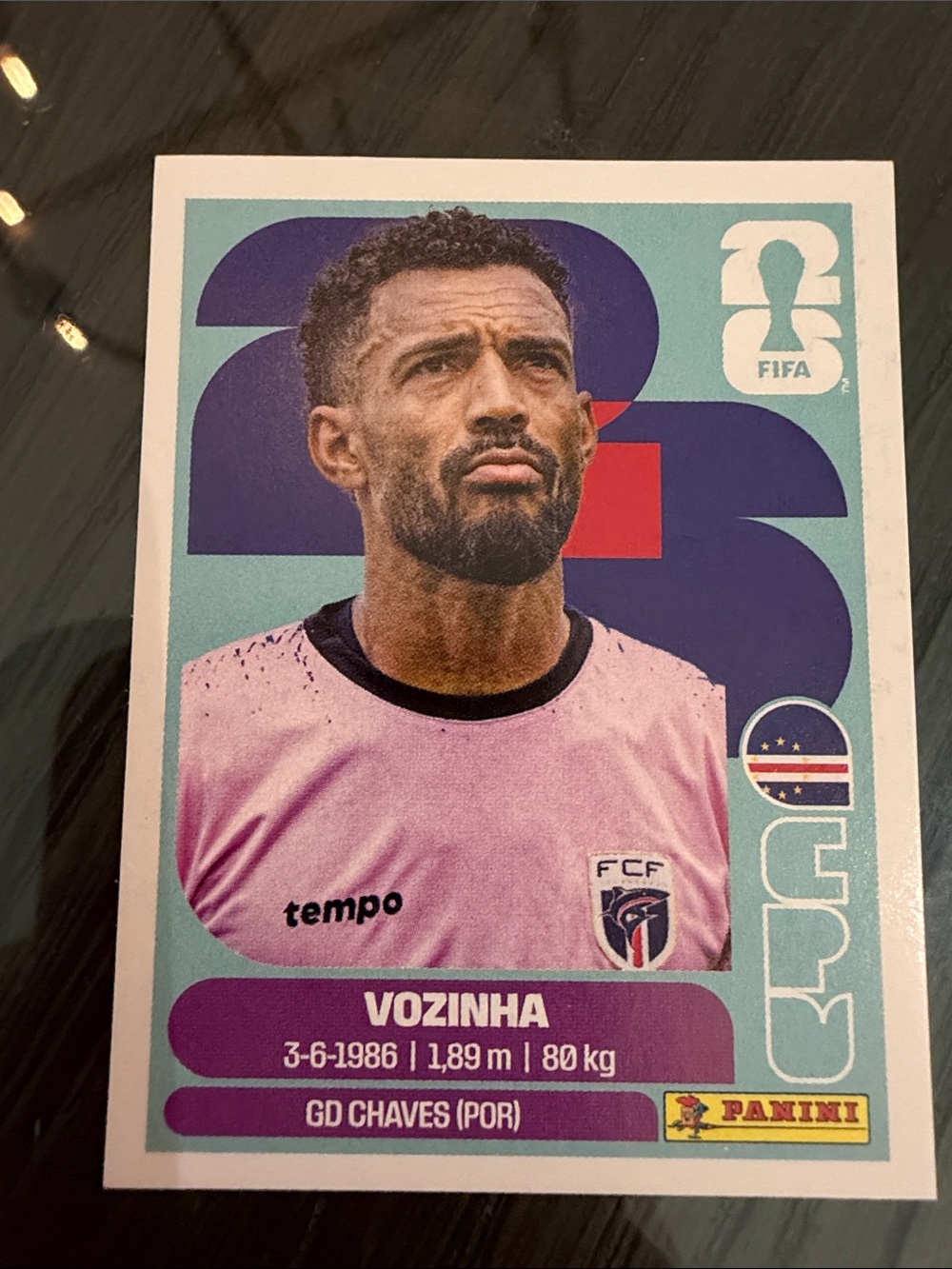 Panini Vozinha Sticker with Pink and Teal Design